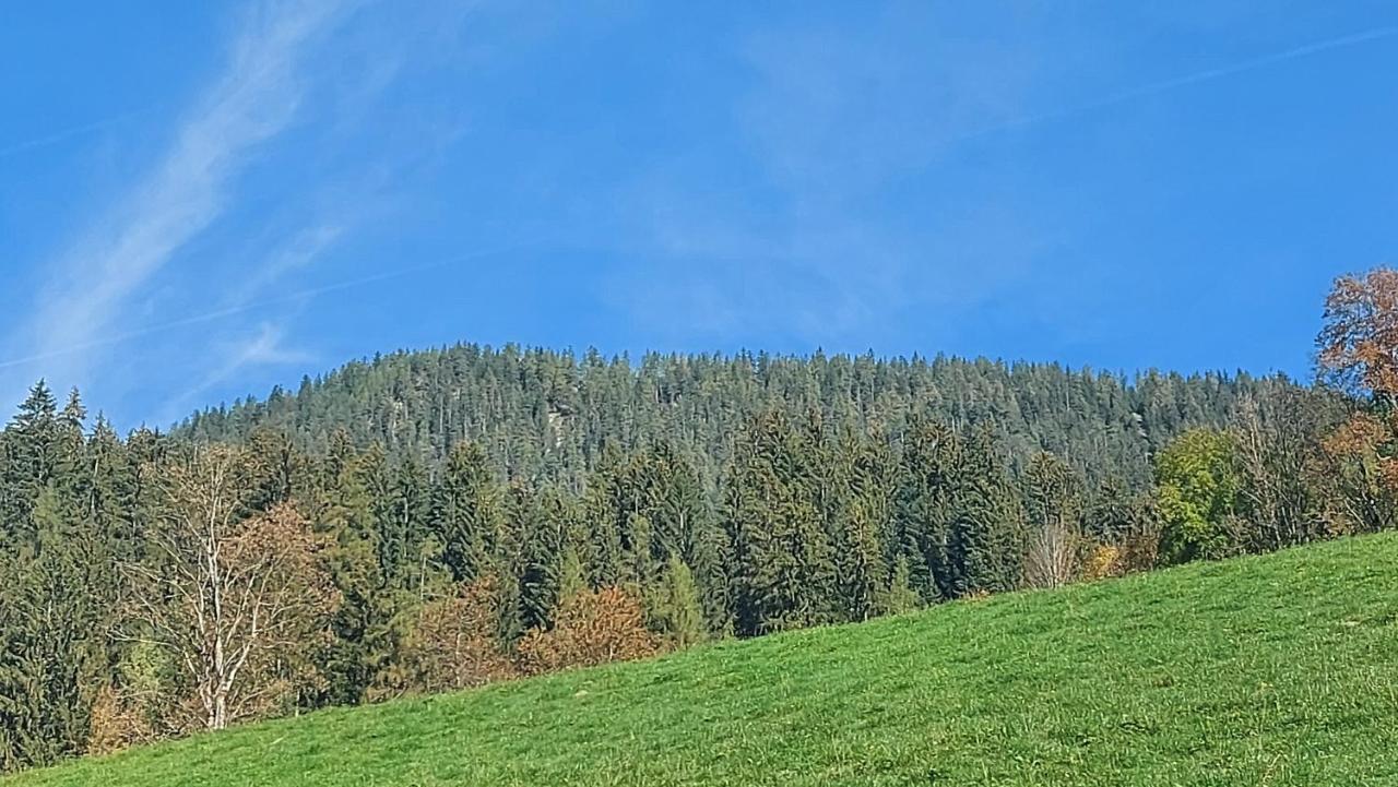 Appartements Zellner Alpbach Exterior foto
